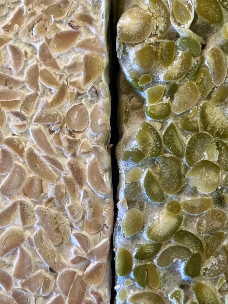 Tempeh